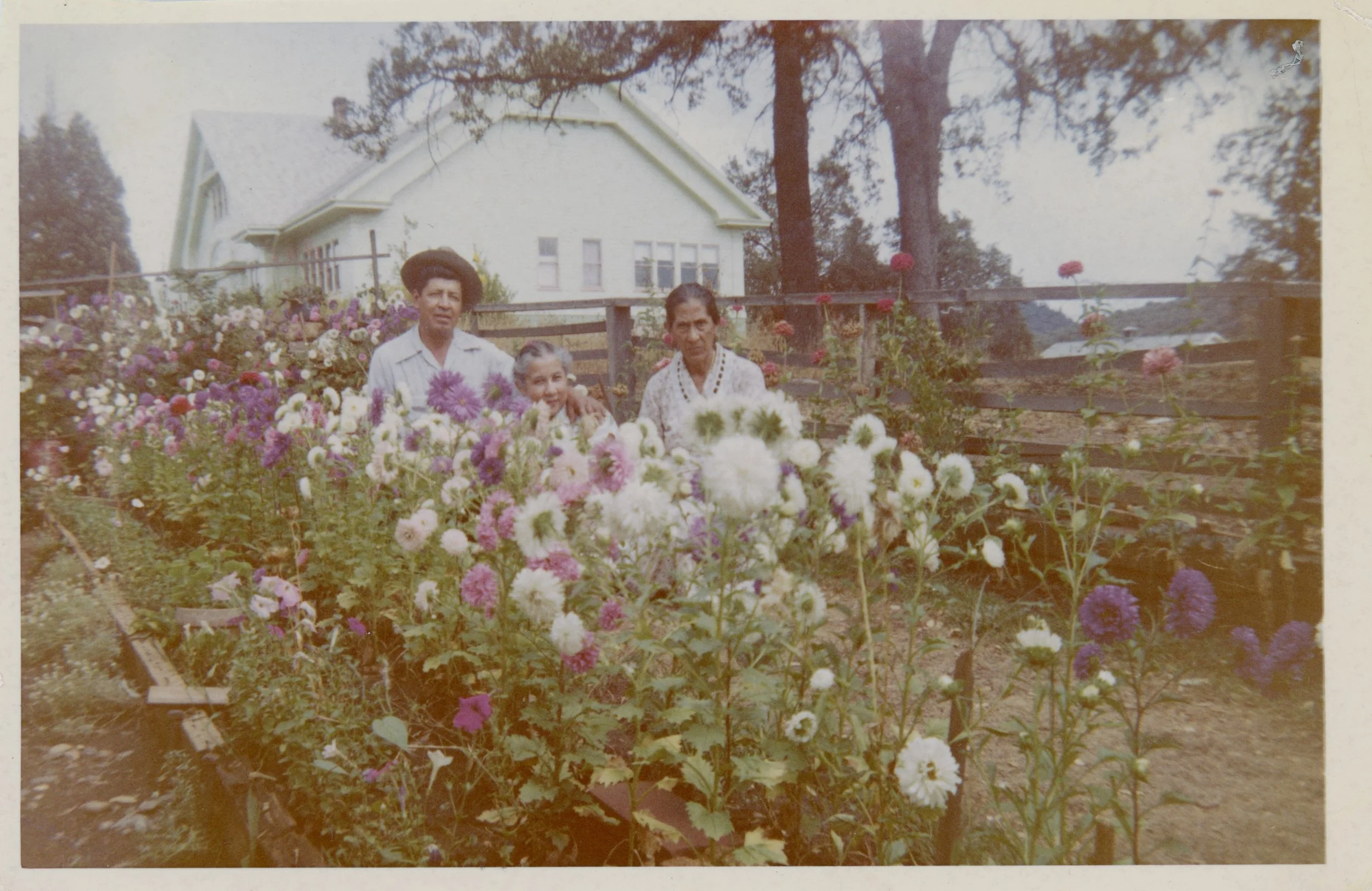 archival photo of two women and a man standing among flowers. House in the background.