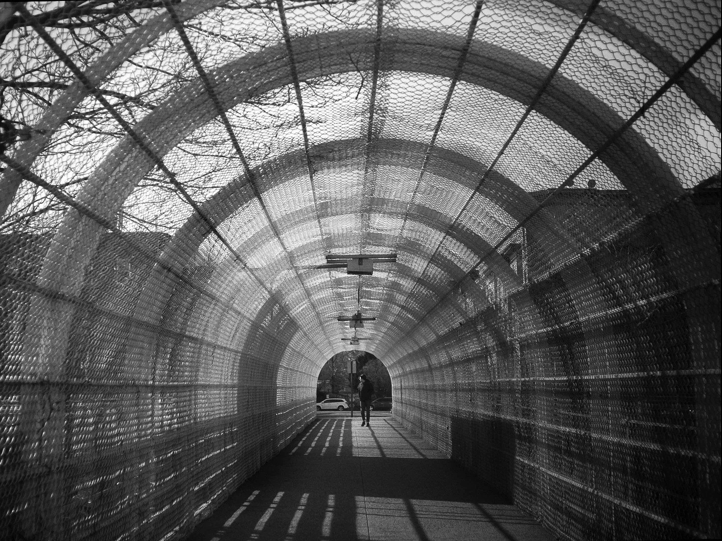 a walkway with a arch mesh covering and a man at the end.