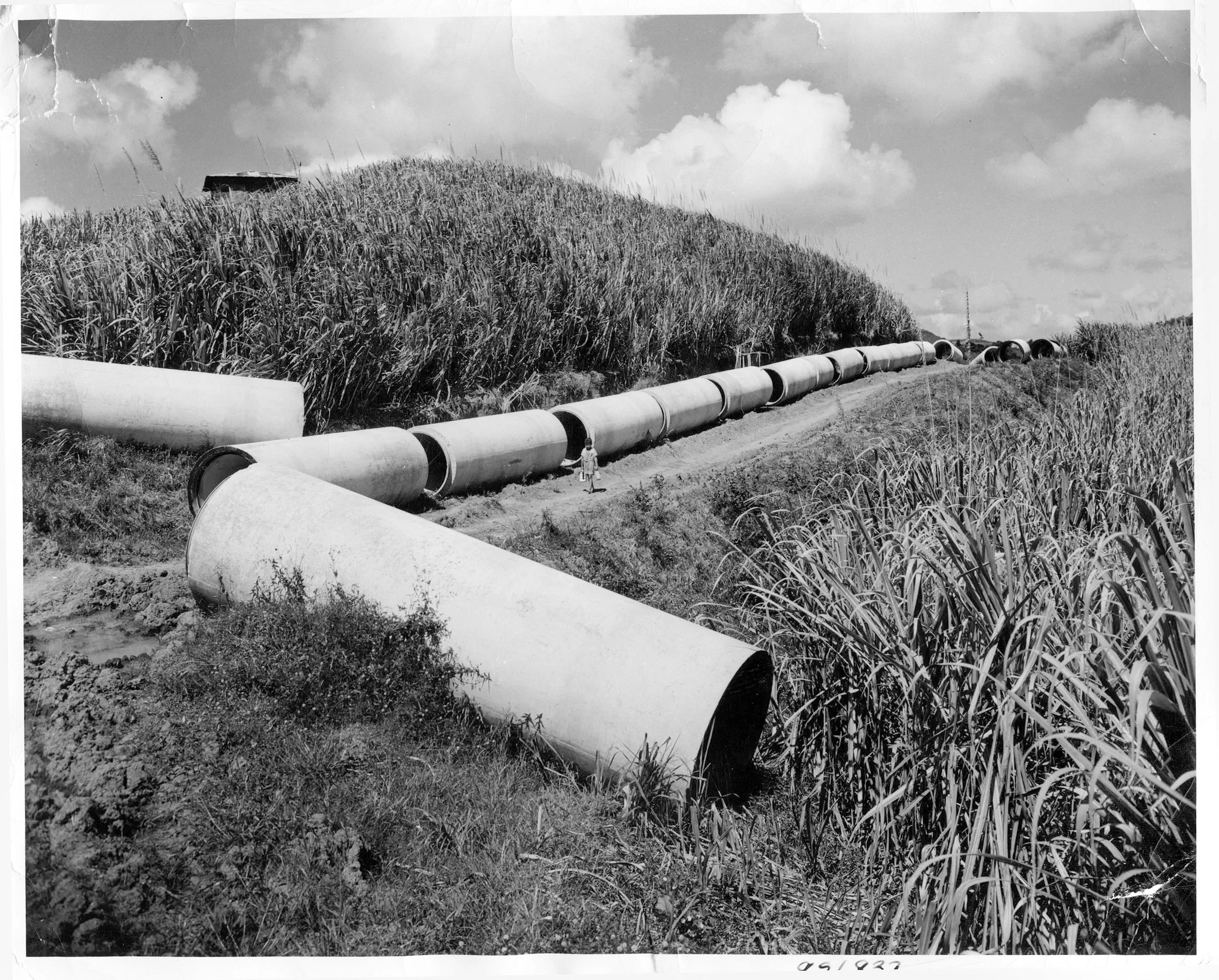 black and white photo of a pipe project
