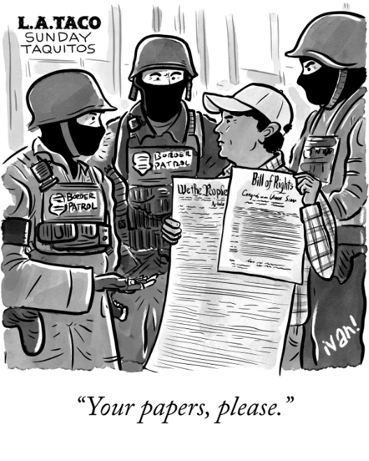 cartoon of border patrol asking for papers and a man showing the constitution