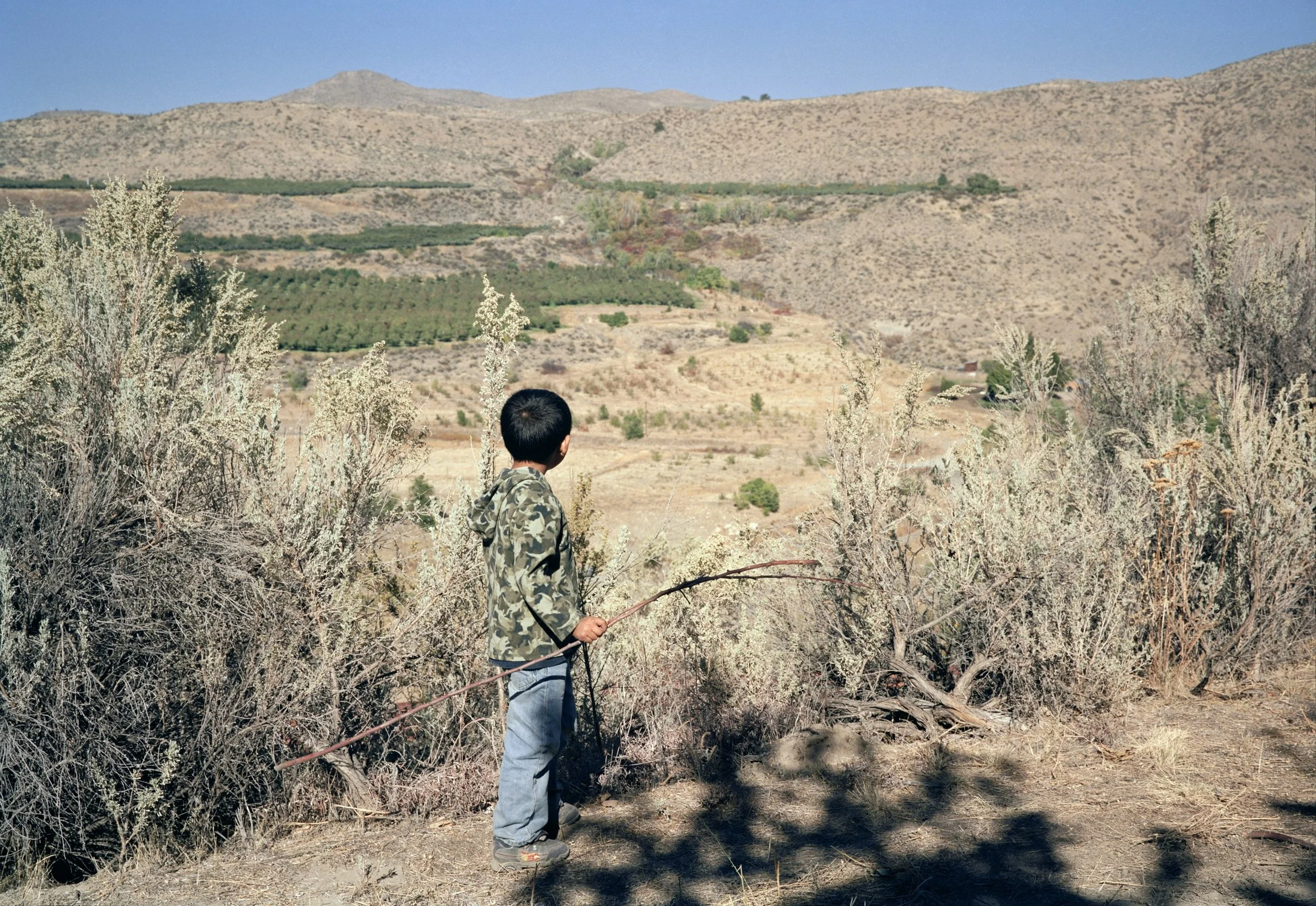 Imaging the American West as a ‘Verdant Land’