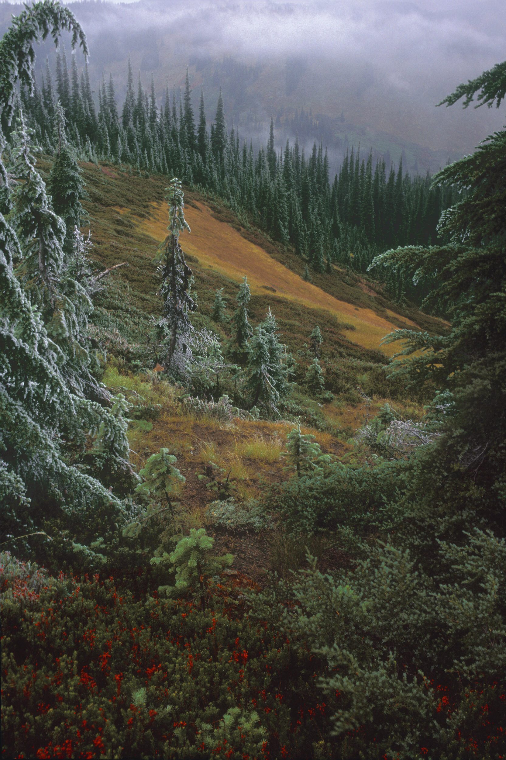Pfiffner_HoodooPass.jpg