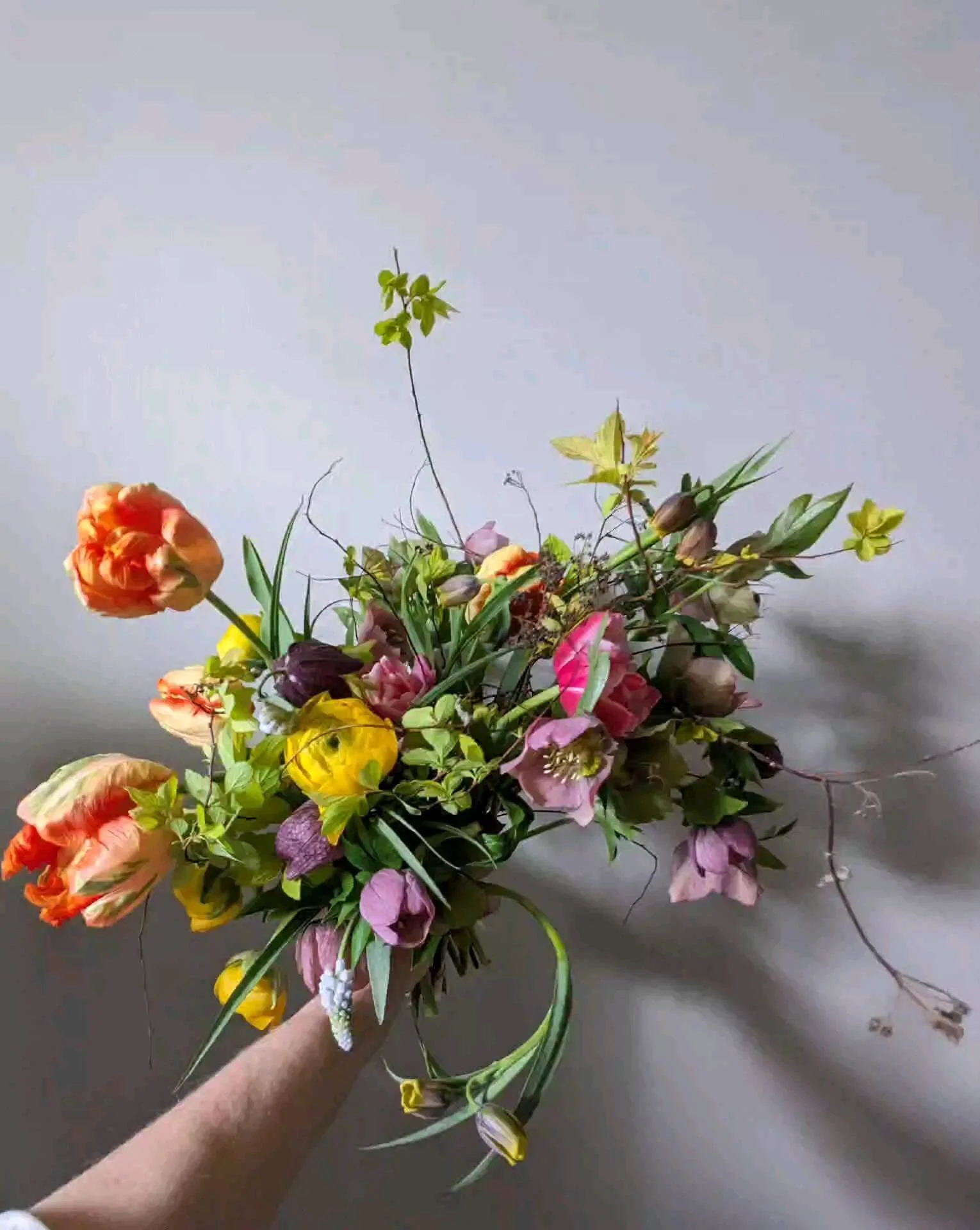 Macklind Market — HareandBearco