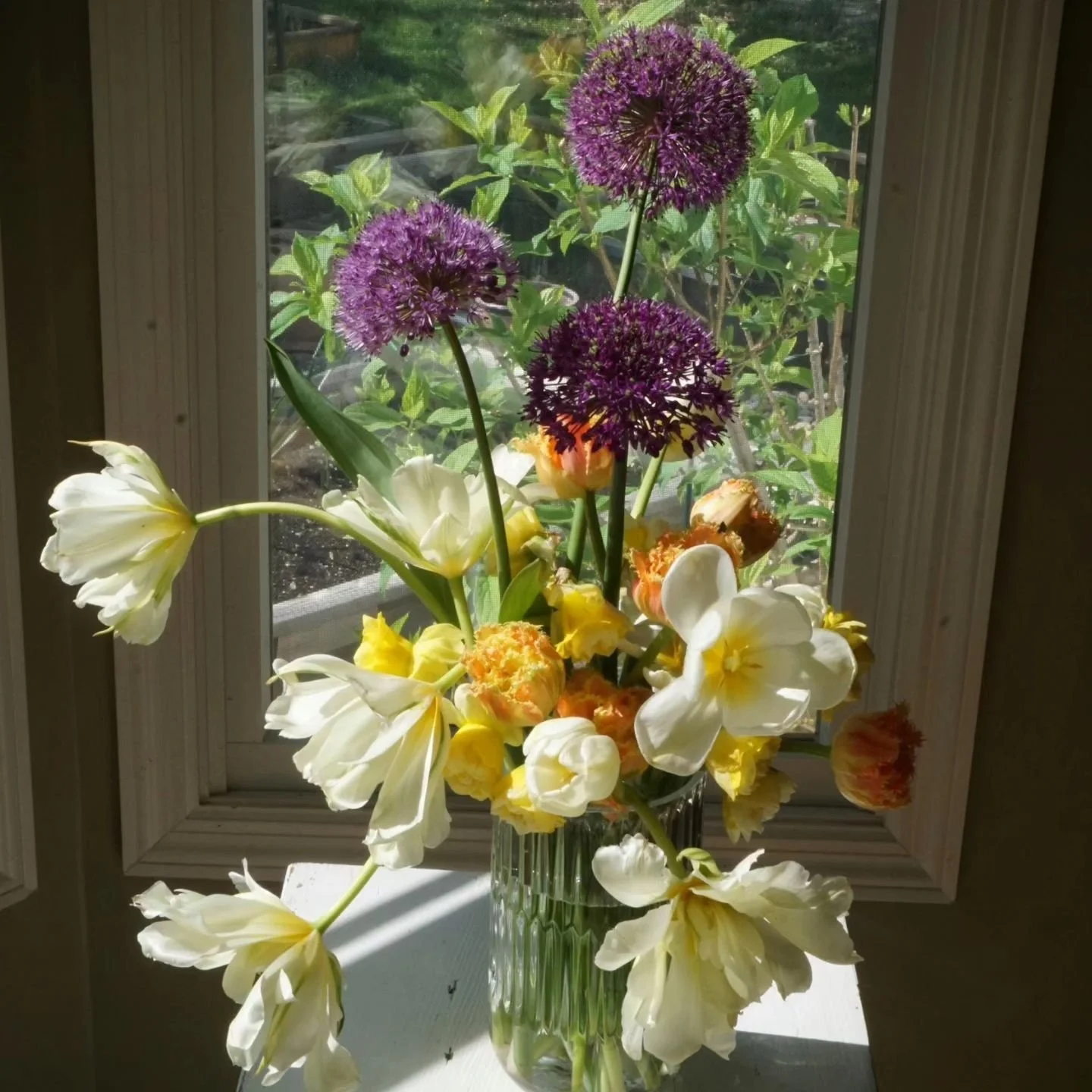 Macklind Market — HareandBearco