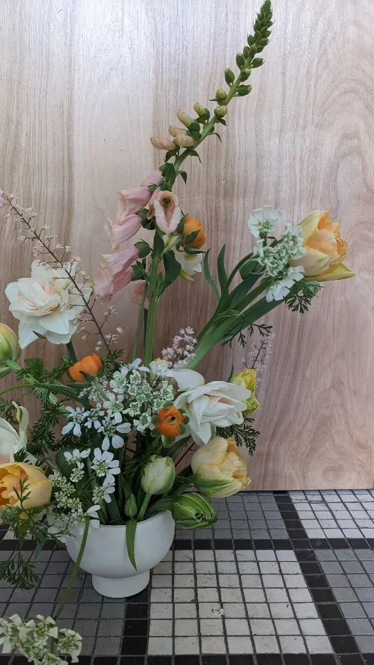 Macklind Market — HareandBearco