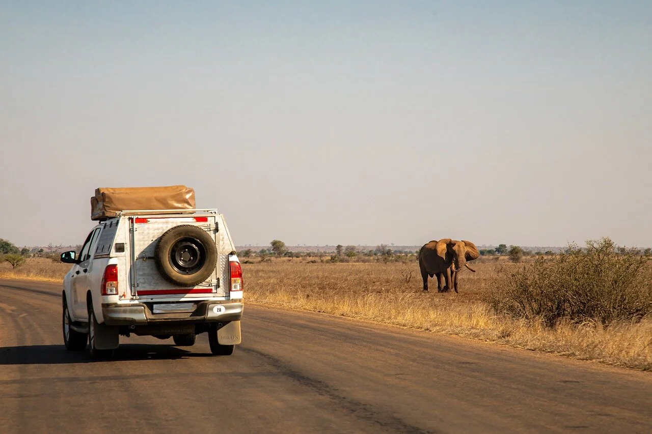 biggest safari in africa