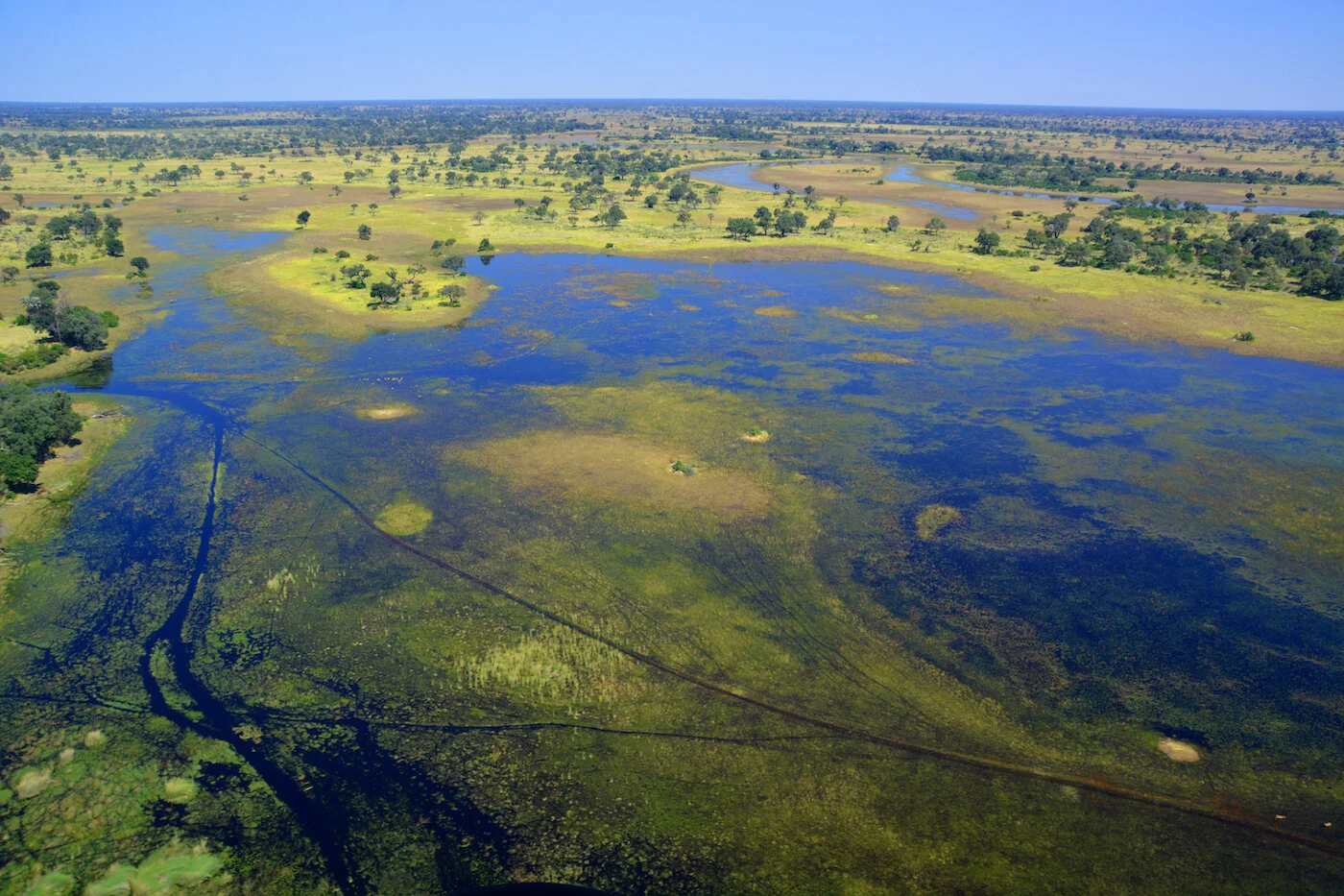 biggest safari in africa