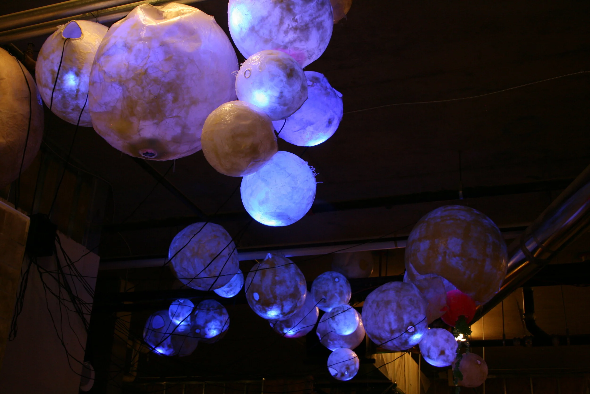   Food Frolic   detail 