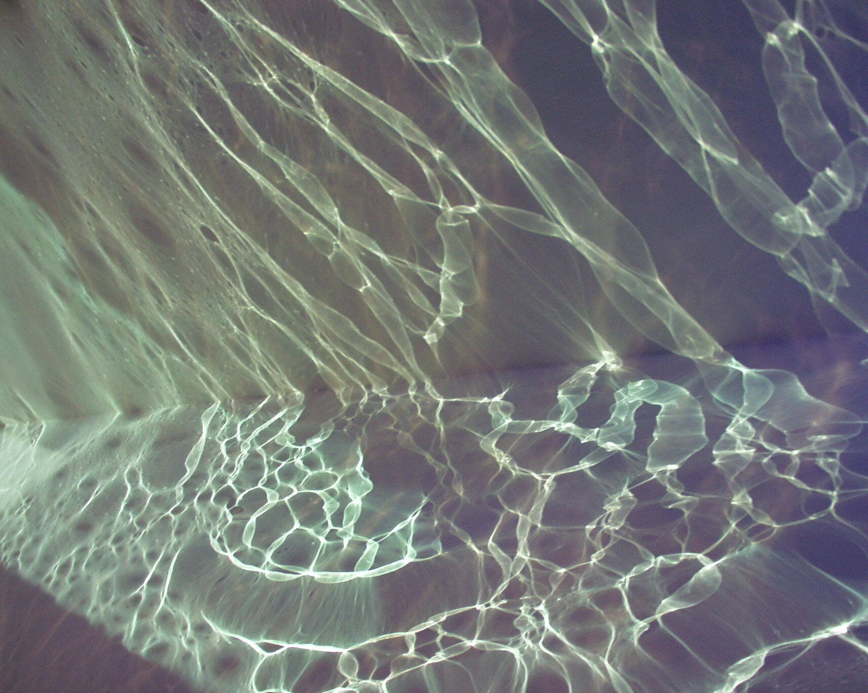   Swell    detail 