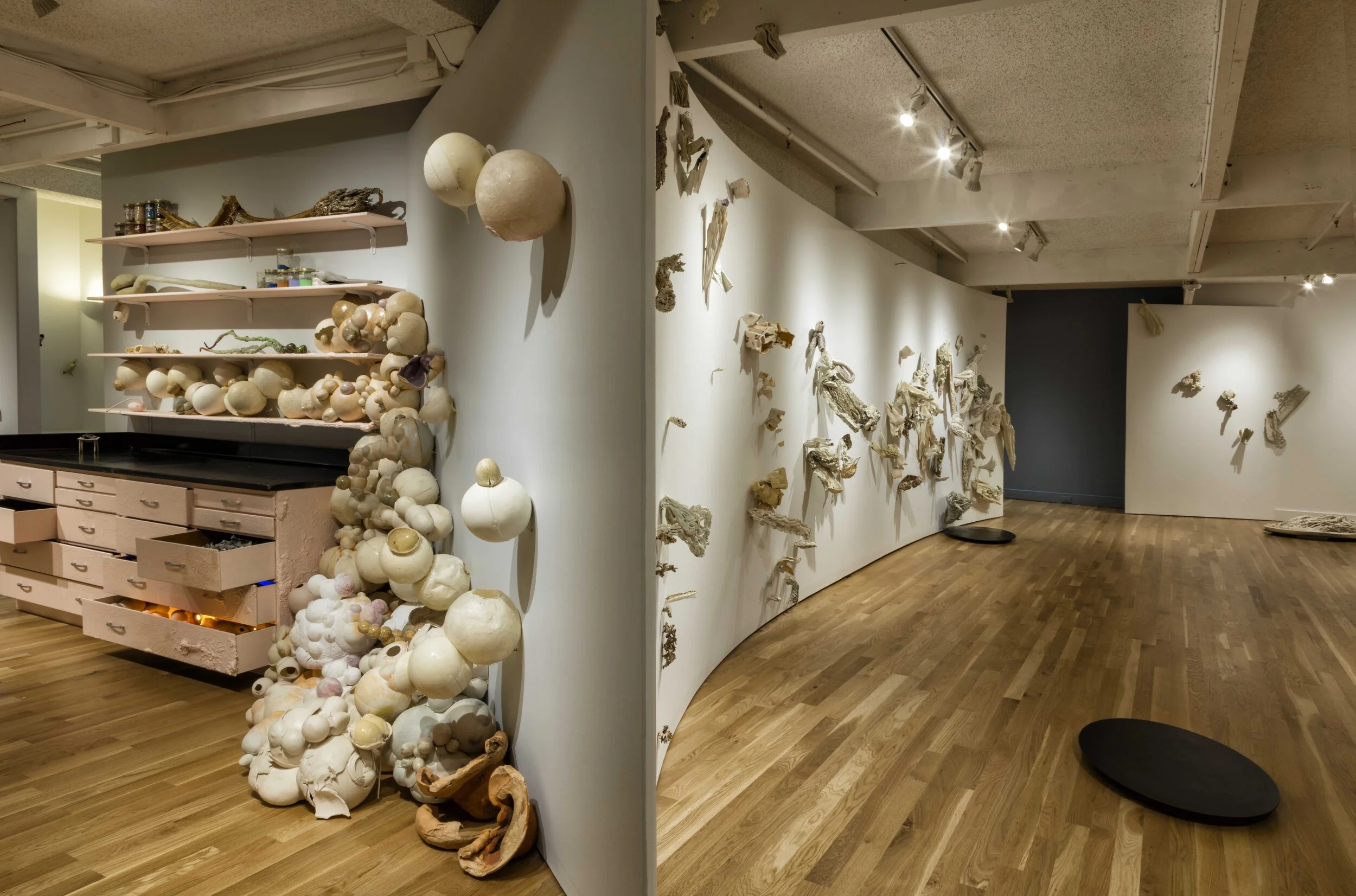 Boulder Museum of Contemporary Art East Gallery View