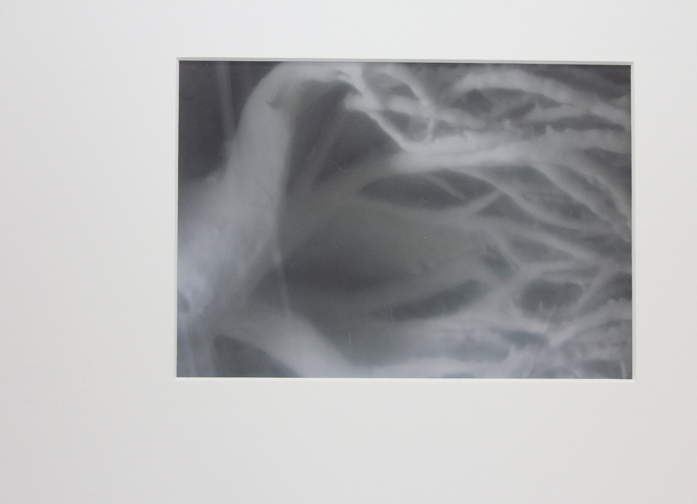 more and more and more open and sparse 2018 8 ½ x 11 inches digital images Connections Europe House Zagreb Jurisiceva, Croatia September 5-21, 2018 We start with the complex beautiful tangle of the earth. We move through life with the