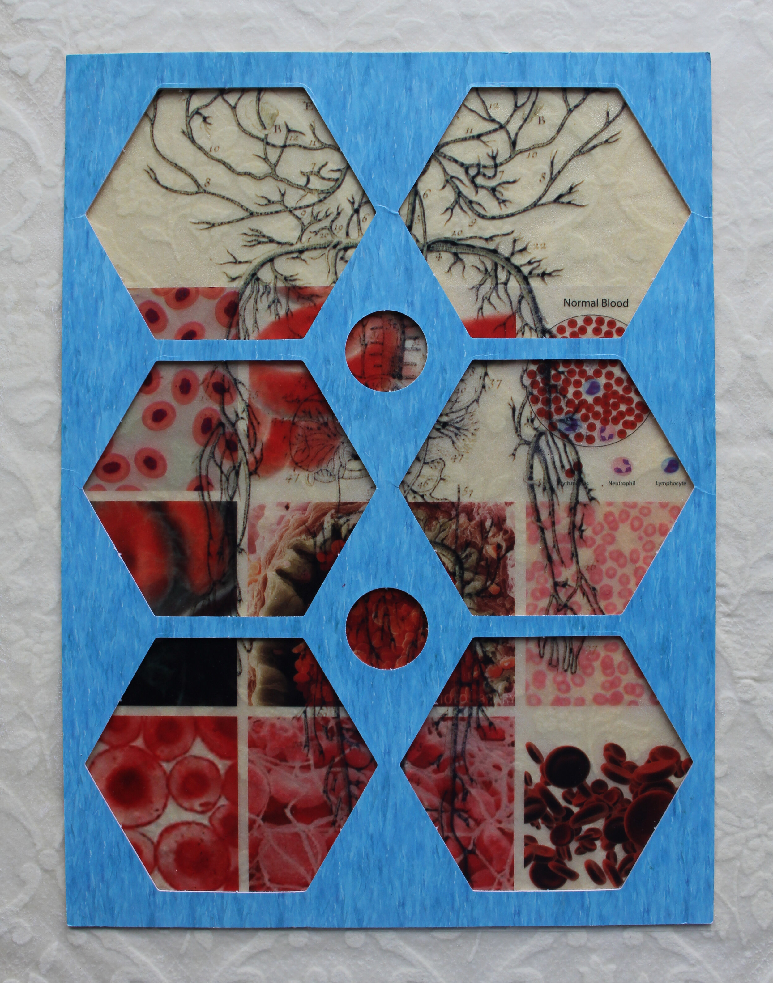 blood lines 2014, 8 ½ x 11 inches wallpaper, photo transfers, cardboard Identity University of the Andes Bogota, Colombia March 8-21, 2014 The first layer of the collage is the human vein system mapped out by Denis Diderot, (1713-1784),