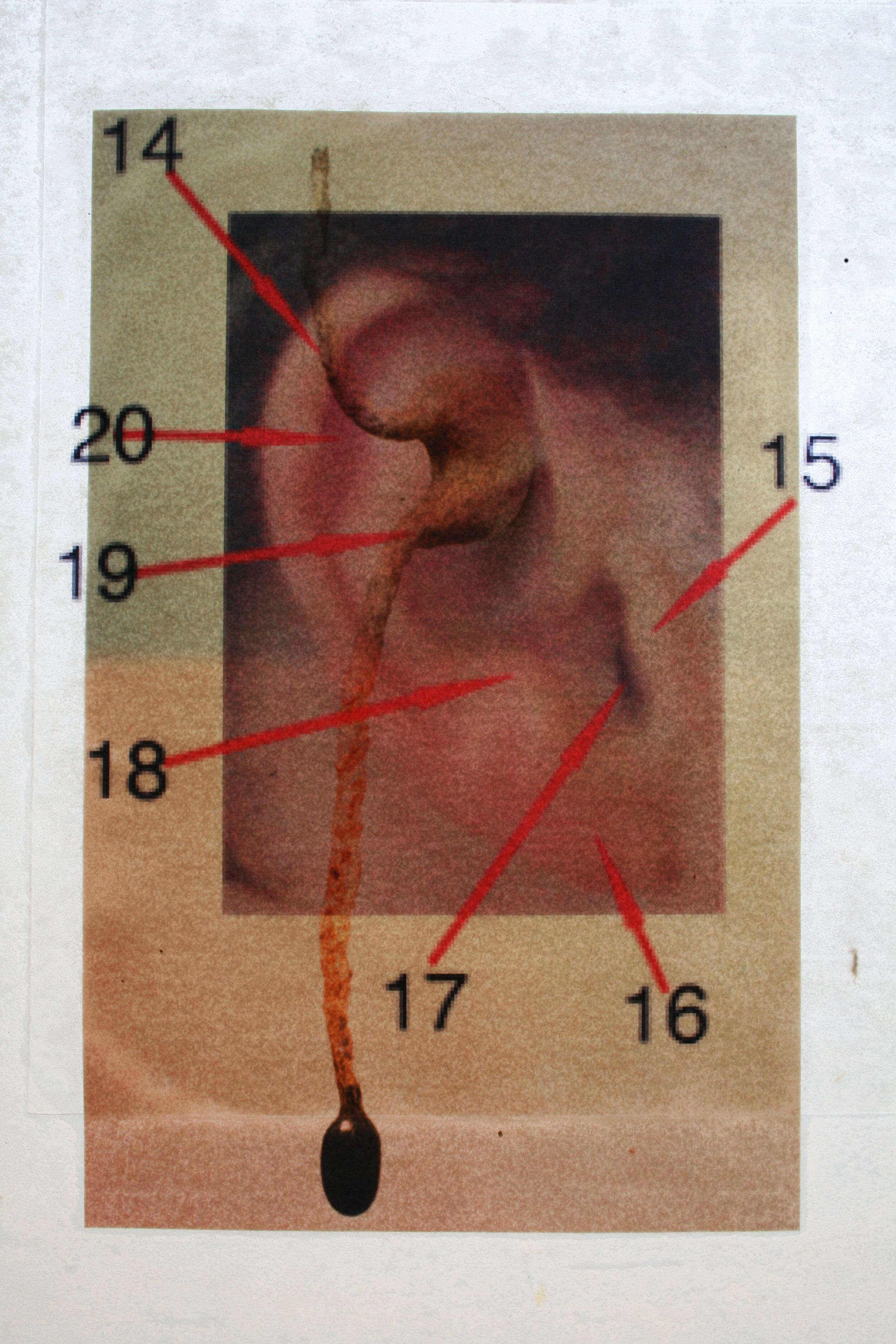 pinpoint 2009, 9 x 12 inches mixed media 2009 Gaza: Mirroring War , Galeria Zapata, Oaxaca, Mexico Contra La Guerra , Galería Tinoco y Palacios, Oaxaca, Mexico 2008 Art and Social Change: Land, Culture, and Memory , Al-Kahf Gallery, B