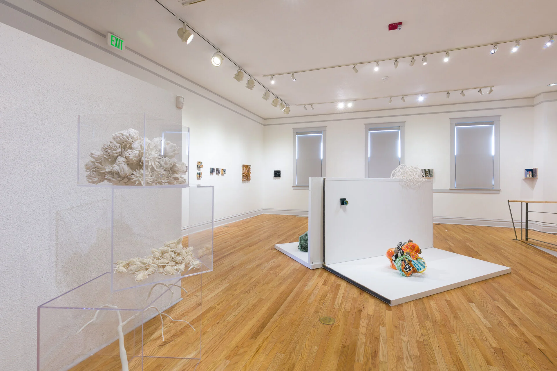 13_gallery .jpg