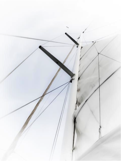 SAIL by Fatima Donaldson