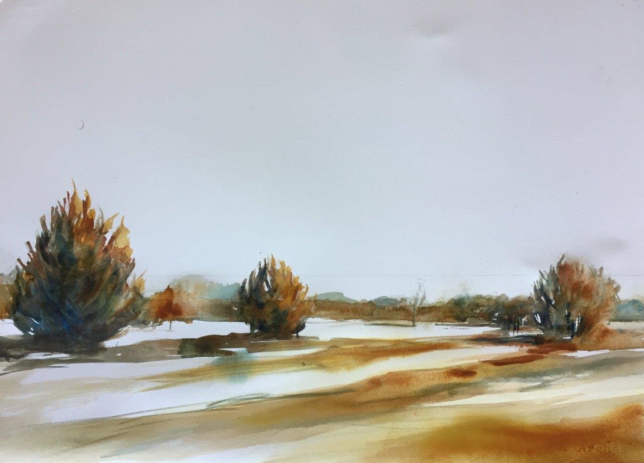 Cedar Breaks West, Katy.jpeg