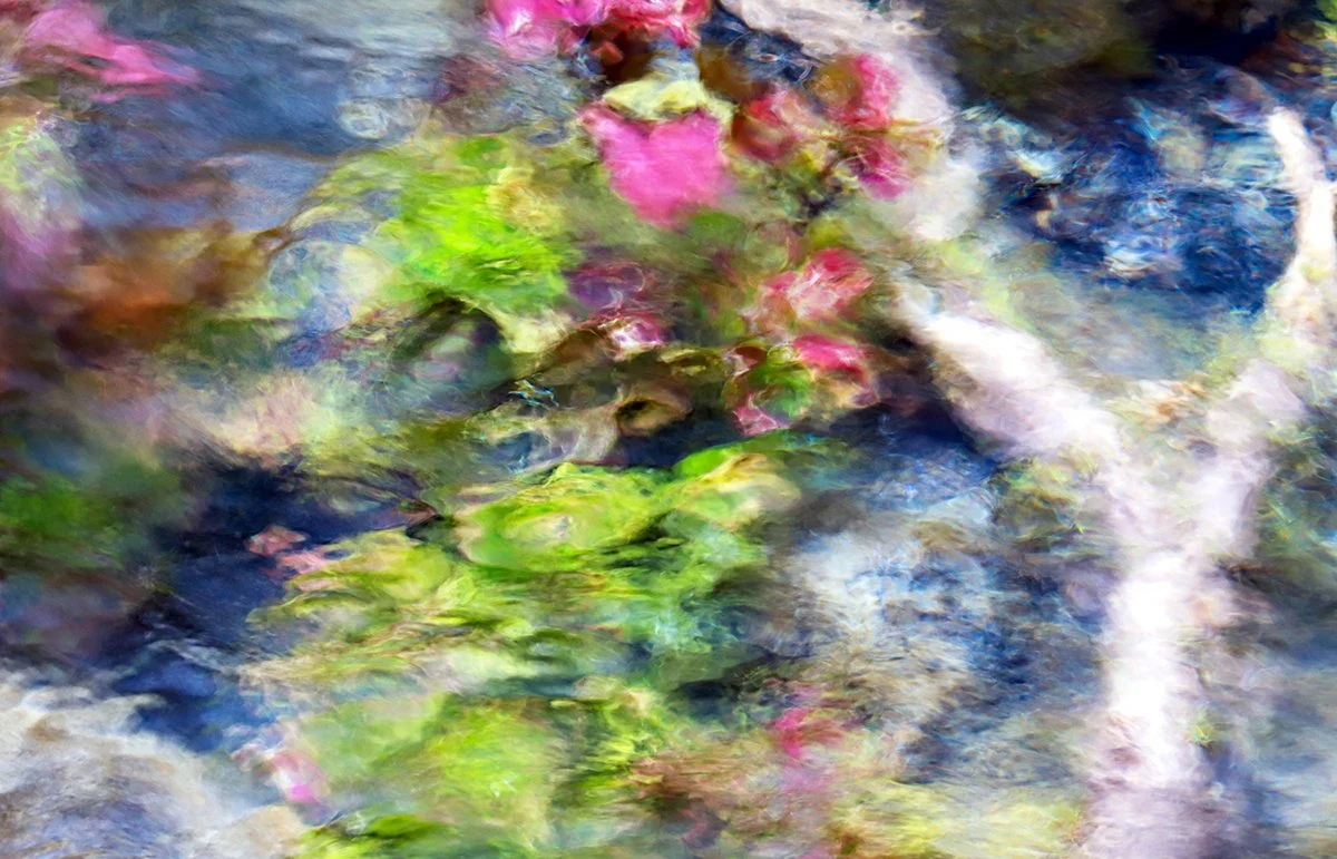 3Garmezy_My Giverny 2 31x41 framed $500.jpg