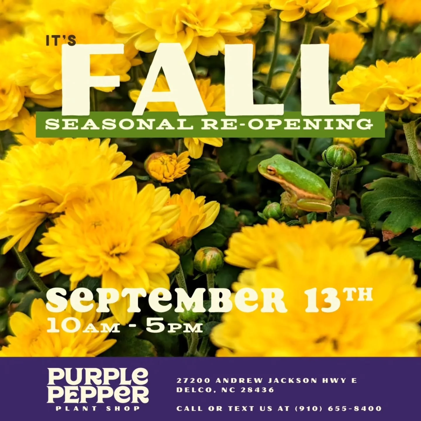 Happy Labor Day Weekend and HELLO almost Fall!!!! Can't wait to see you all! 🤗
🌿
💜
🌿
#fallgardening #chrysanthemum #pumpkinpatch #ncplantshop #purplepepperplantshop