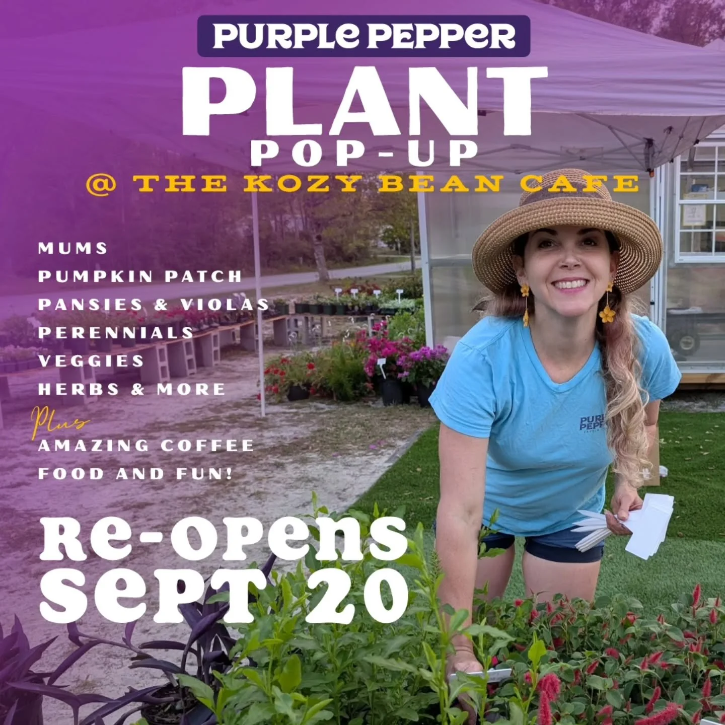 We'll be back in BSL this weekend! 🥳 @kozybeancafe 
3280 George II Hwy SE, Southport, NC 28461
🌿
💜
🌿
#fallgardening #mums #pumpkinpatch #oakislandnc #southportnc #purplepepperplantshop