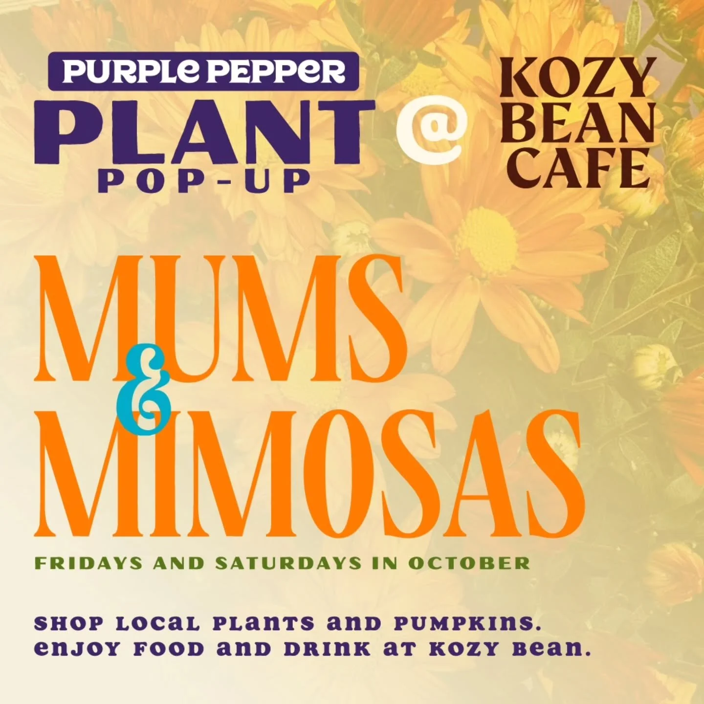 Let's celebrate Fall! We are super excited to start off October with a Kozy Bean Cafe + Purple Pepper collaboration! Locally grown Garden Mums and Fresh Mixed Mimosas!

Buy 3 - 8&quot; mums for $15 from us and step next door for a $5 Mimosa. Or vice 