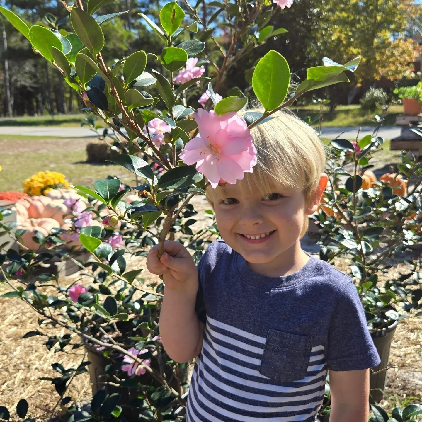 End of season sale at the Pop-Up! It's our last 2 days before we pack up. November 1st &amp; 2nd, Saturday &amp; Sunday we are having our end of season sale. Free pumpkins, 75% off mums, 50% of trees, shrubs &amp; herbs etc, 30% off perennials, nativ