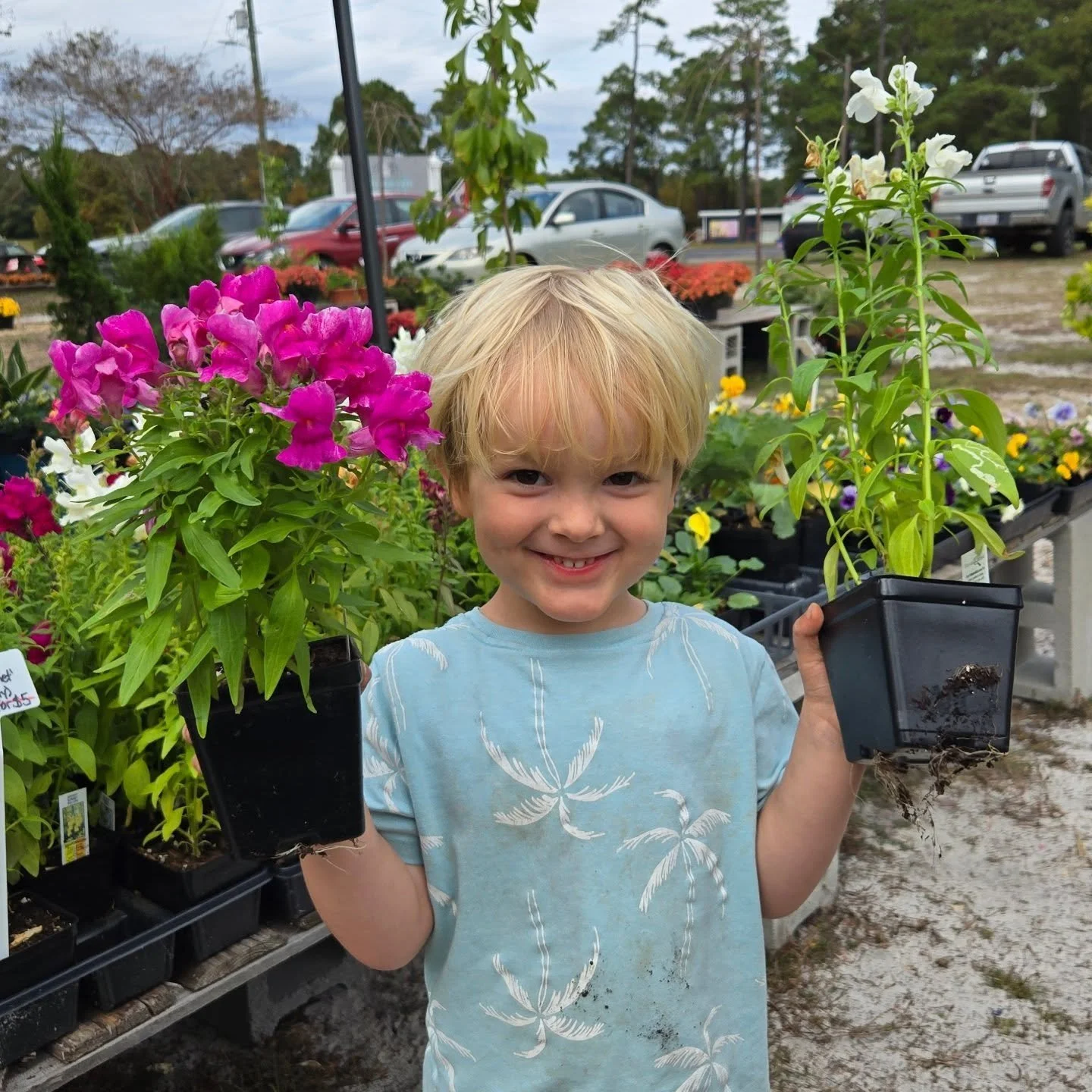 We still have lots of trees, shrubs, pansies, snapdragons, herbs, perennials, grasses, hostas, coral bells, natives, mums etc! Don't miss the End of season sale!!! We're here until 5pm! @kozybeancafe

The Pop-Up Location 
📍3280 George II Hwy SE
Sout