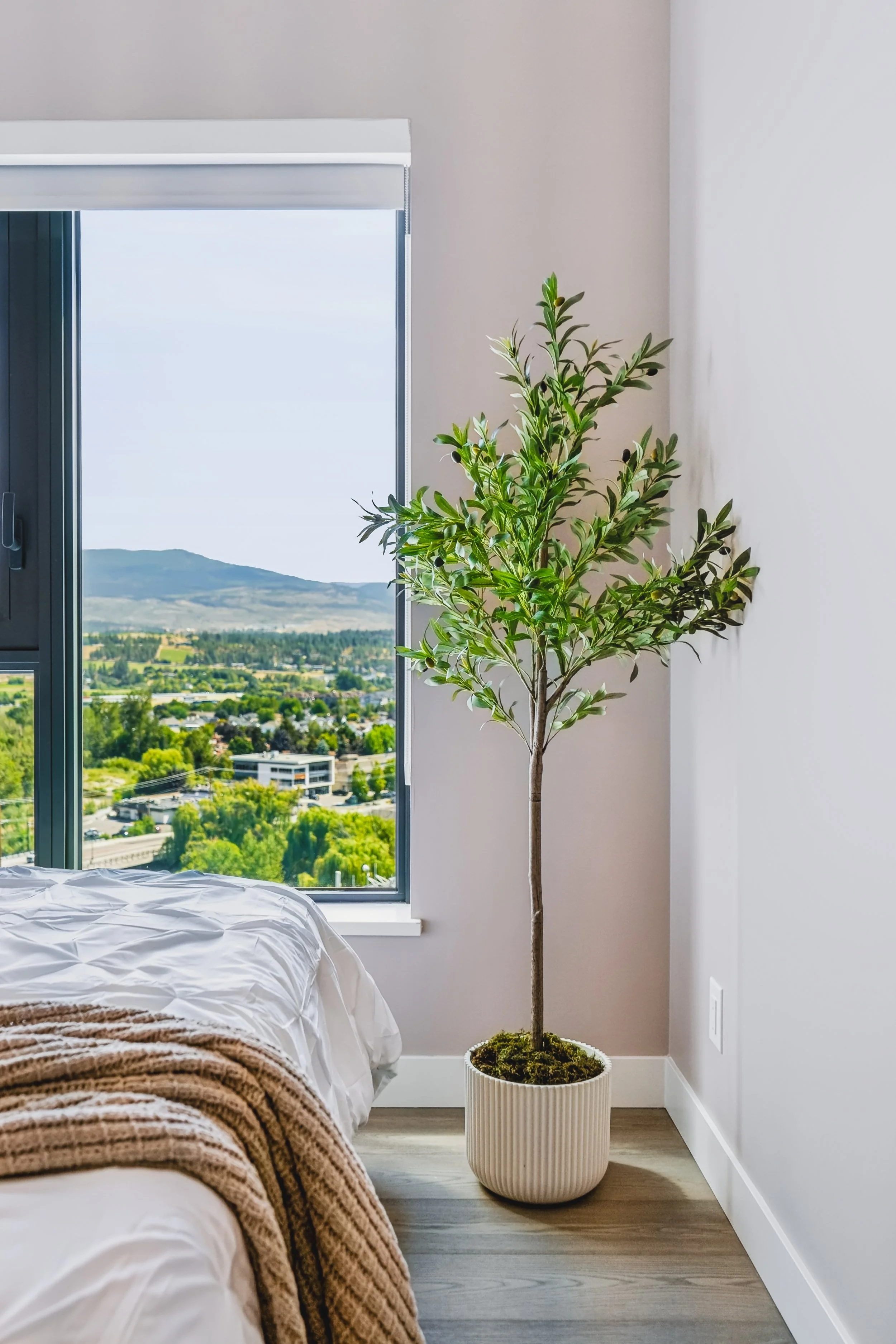 Aqua1408-18.jpg