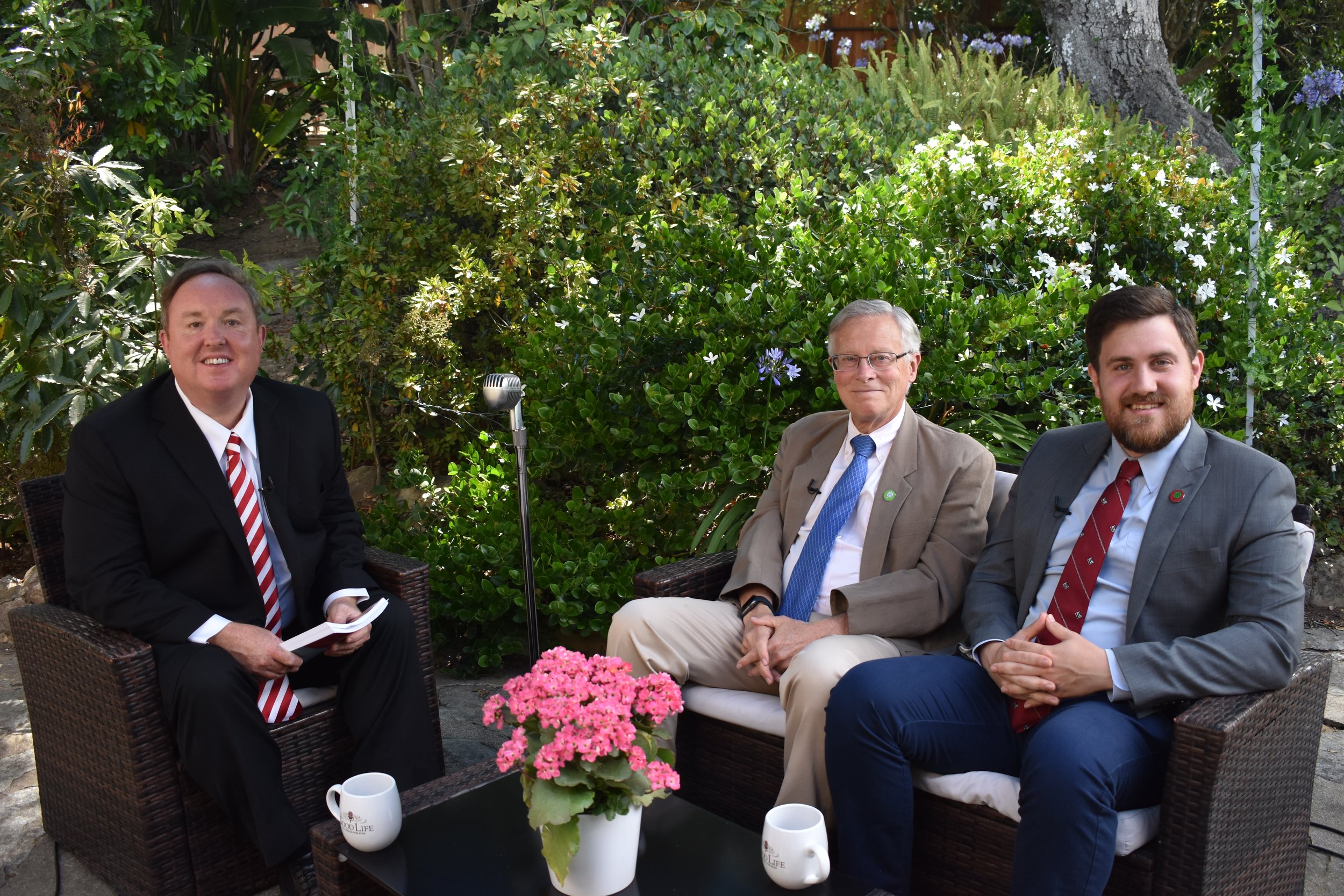 All About Doman International