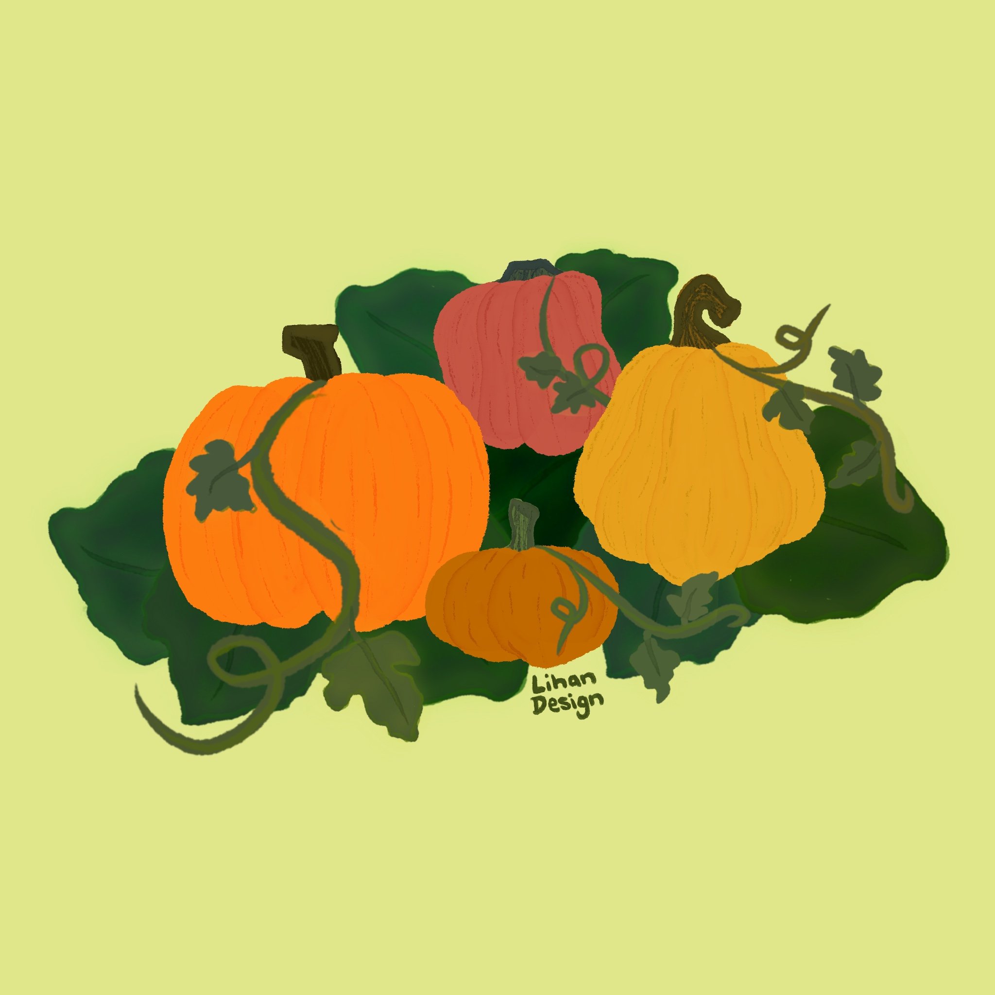 Pumpkin patch