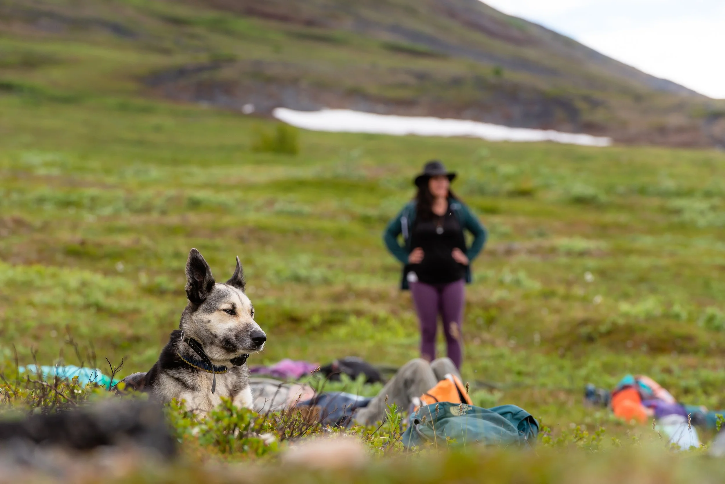 2022_Solar Awakening_Stephen Bugno_DSC_9897-nw.jpg