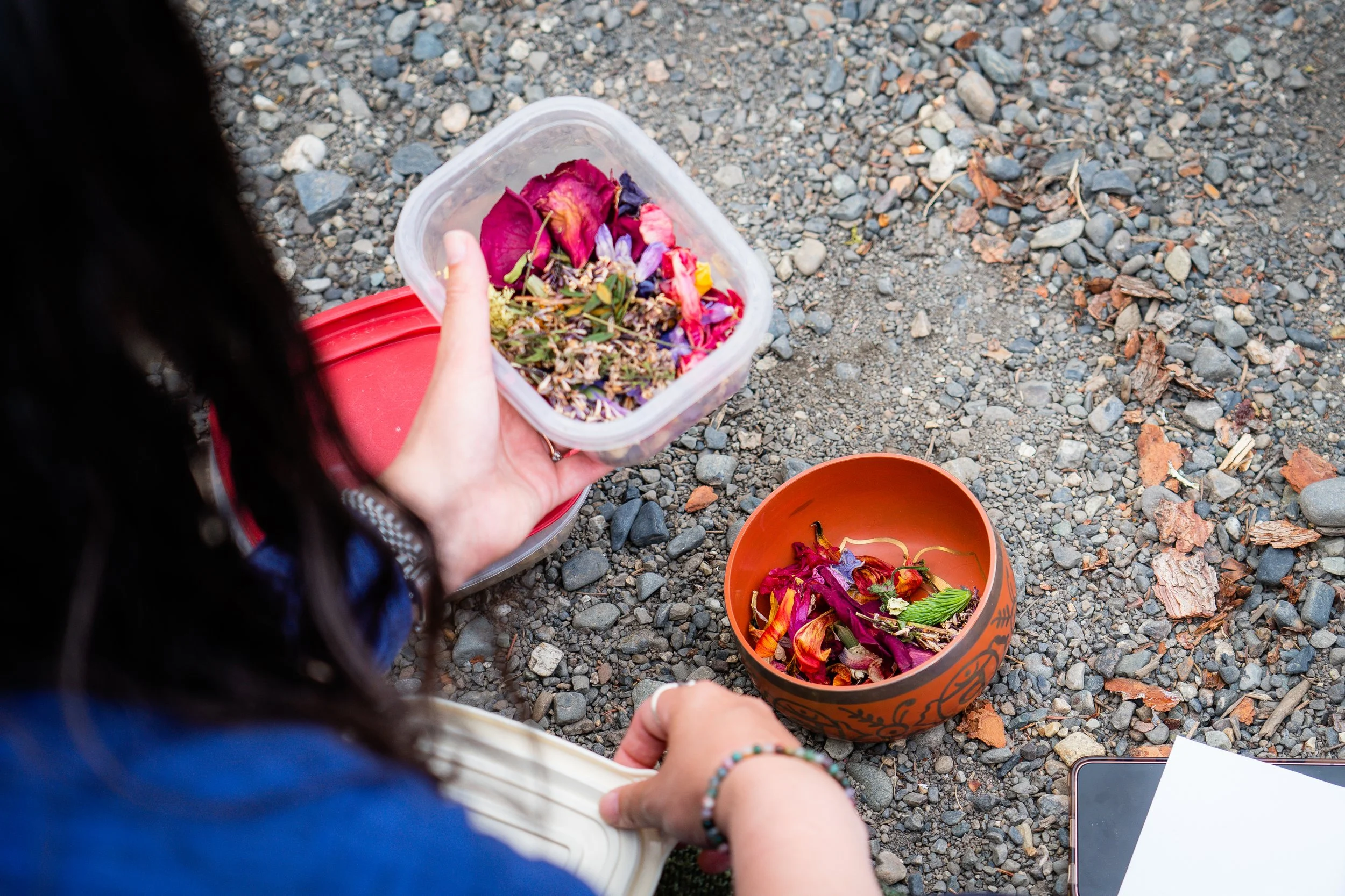 2022 Solar Awakening_Juno Kim__DSC9982-Juno Kim-nw.jpg