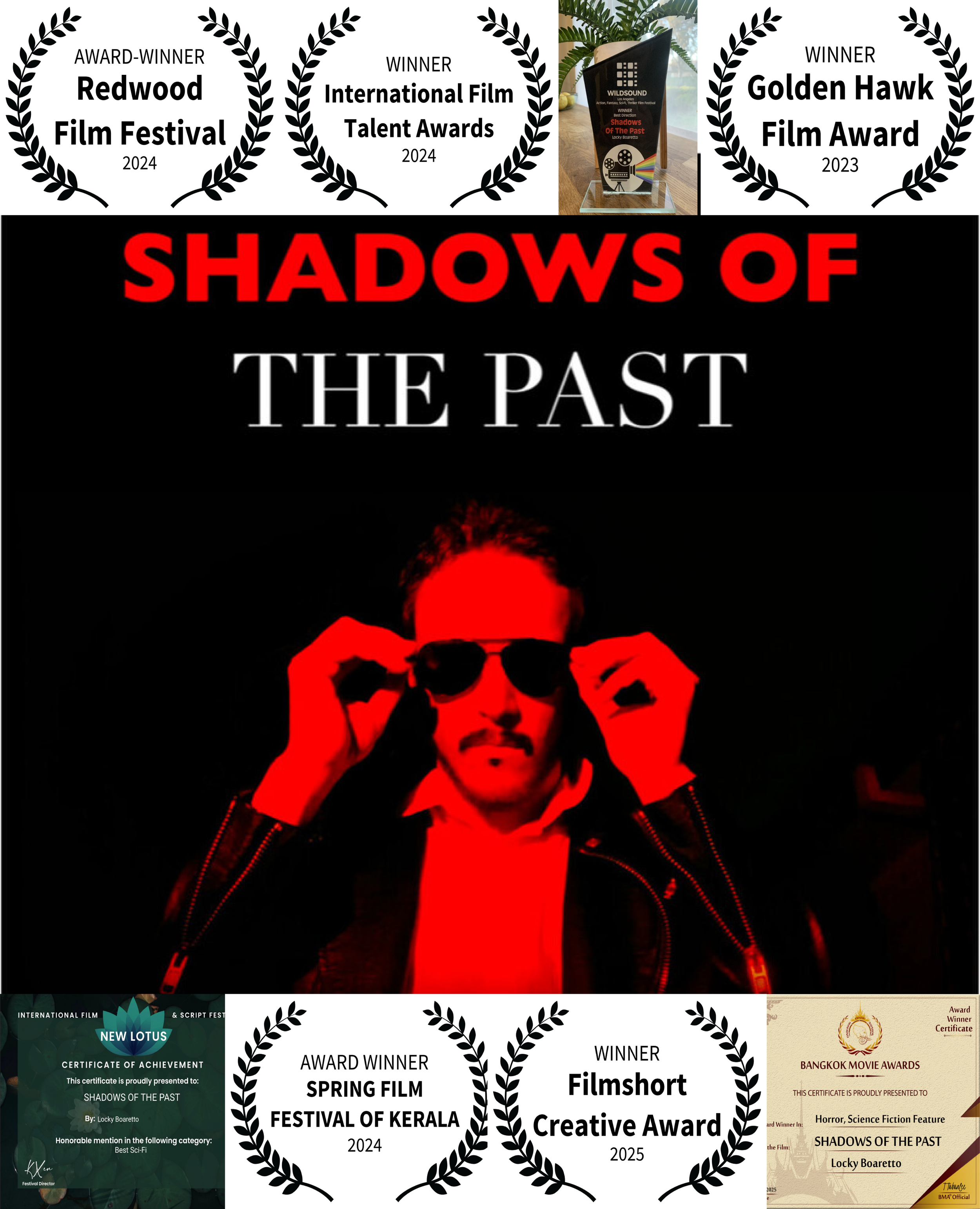 shadows of past awards-01.png