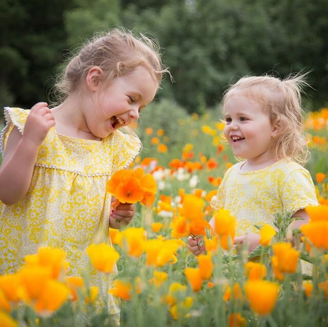 We found a gorgeous California poppy field on one of our walks! Stunning location which I will now be using for my family shoots @lovepicturesbyleila I&rsquo;m offering some free social distance family shoots this month if you are interested. Pop ove