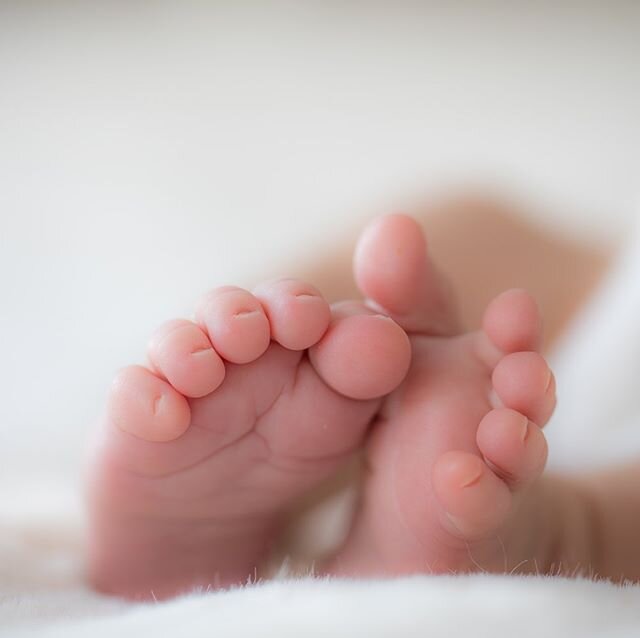 I&rsquo;m always obsessed with tiny toes 🥰 #newbornphotography #newbornphotographer #newborn #blackandwhitenewbornphotography #cheshamphotographer #berkhamstedphotographer #berkophotographer #kingslangleyphotographer #lovepicturesbyleila #rickmanswo