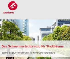 Das Schwammstadtprinzip für Stadtbäume II