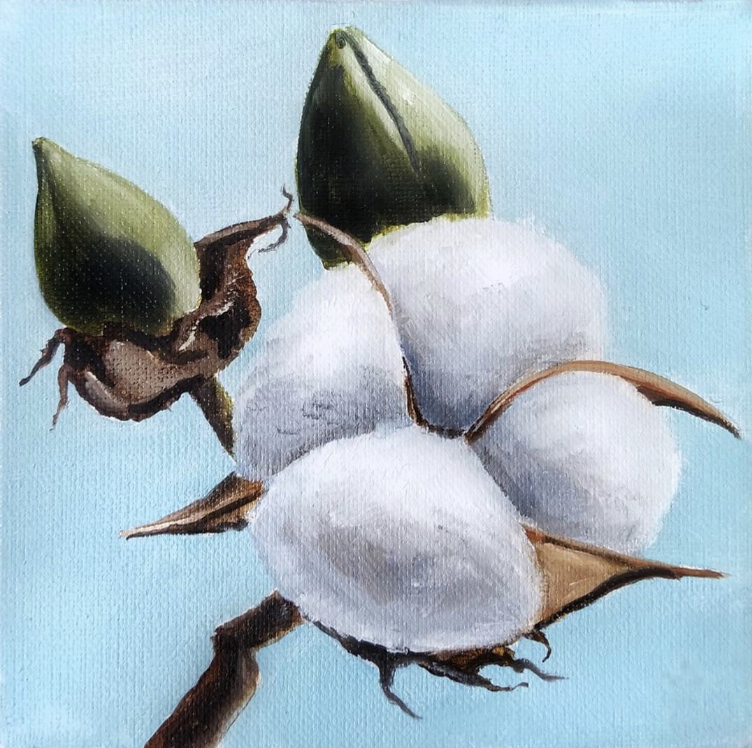 Screen Shot 2020-06-02 at 1.52.53 PM.png