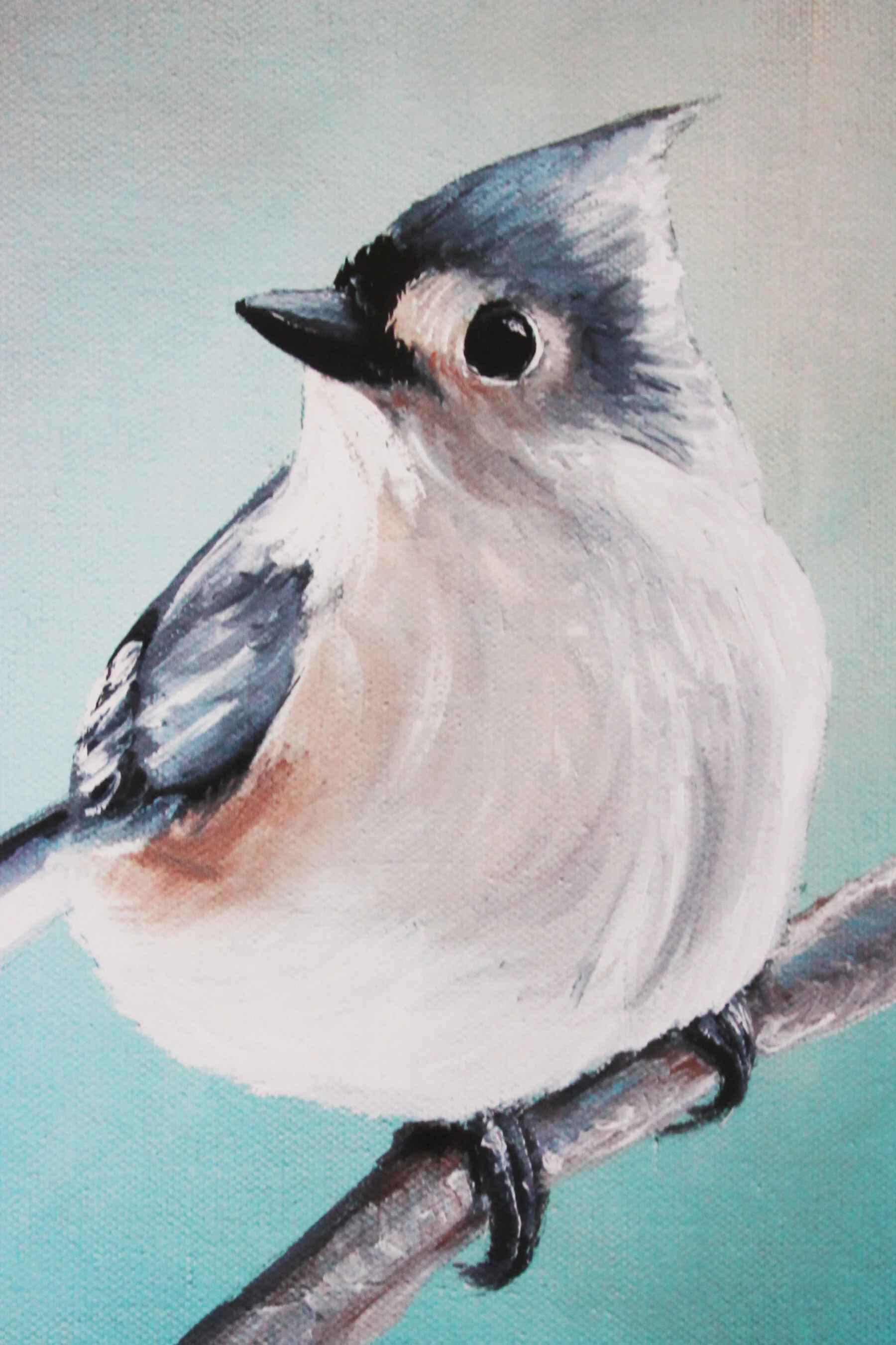 titmouse.jpg