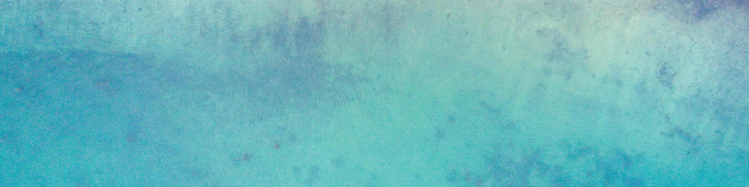 teal_background-01.png