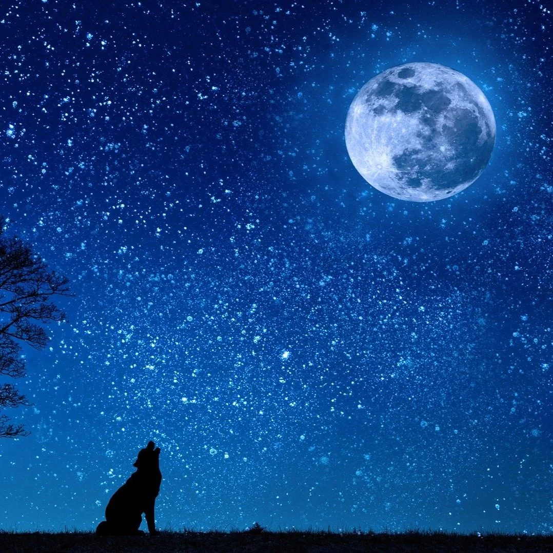 Your Stars at a Glance