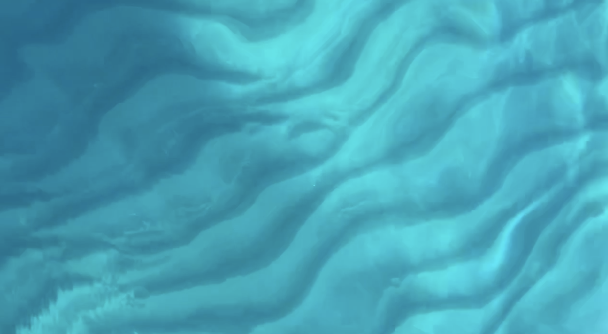 Screen Shot 2021-07-03 at 10.29.28 AM.png