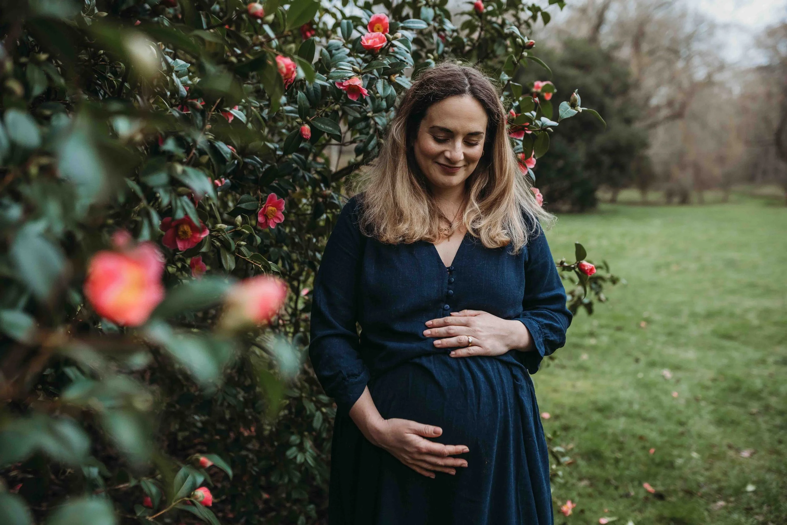 pregnant woman holding her bump surrounded by flowering camellias during a winter maternity session
