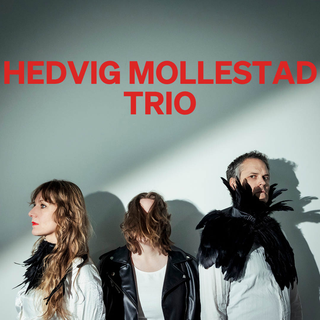 HEDVIG MOLLESTAD TRIO