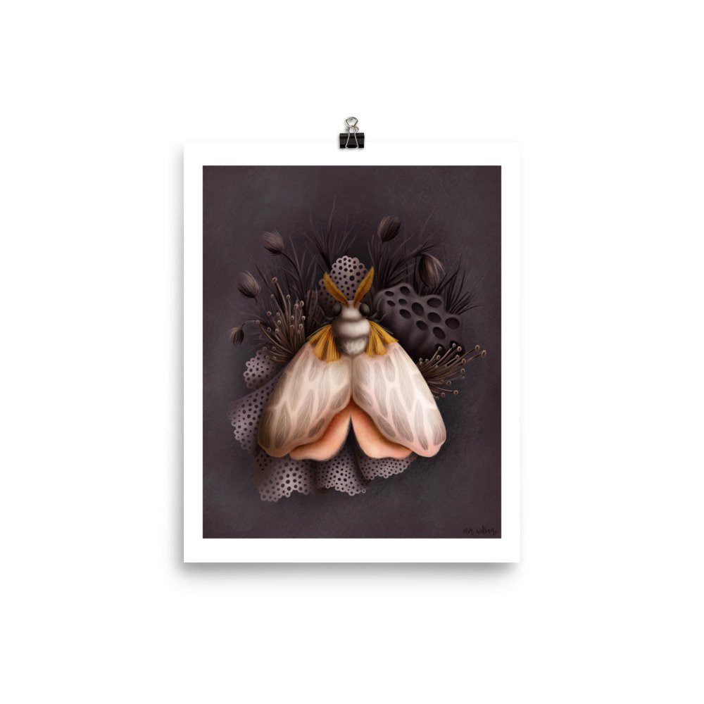 enhanced-matte-paper-poster-(in)-8x10-transparent-61fdb2e570b4f.jpg