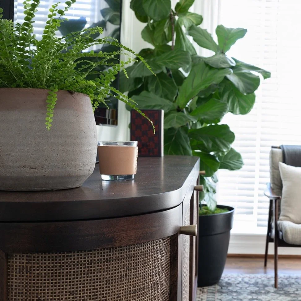 Whitewashed Terracotta Planter