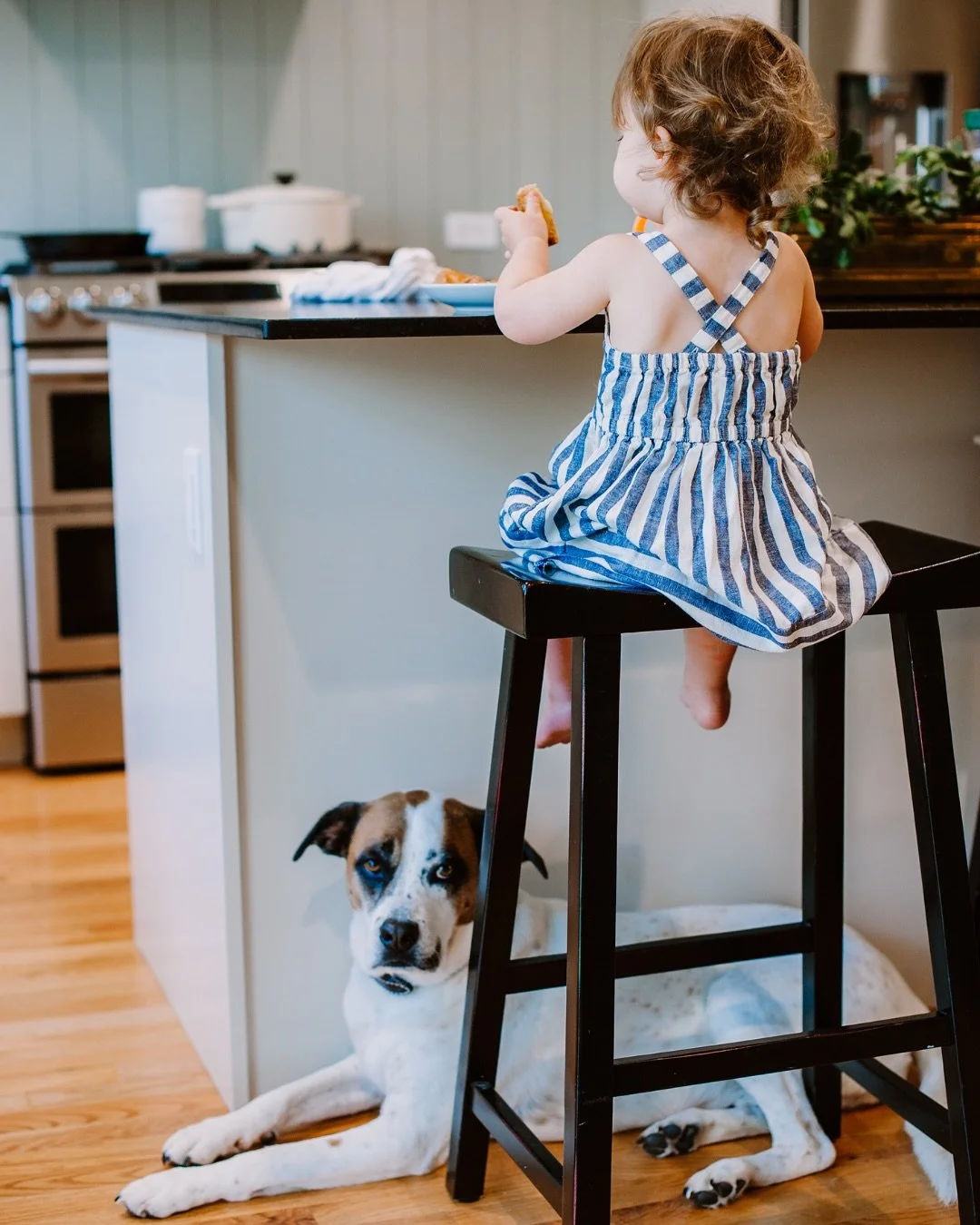 We like to think of this as &ldquo;family-approved&rdquo; 🫠 Officially tested by both toddler and dog.
This space had one goal: feel as comfortable as it looks. 

Project: Garden Oaks Farmhouse
Design &amp; Styling by @ledgerandladder
Photography by
