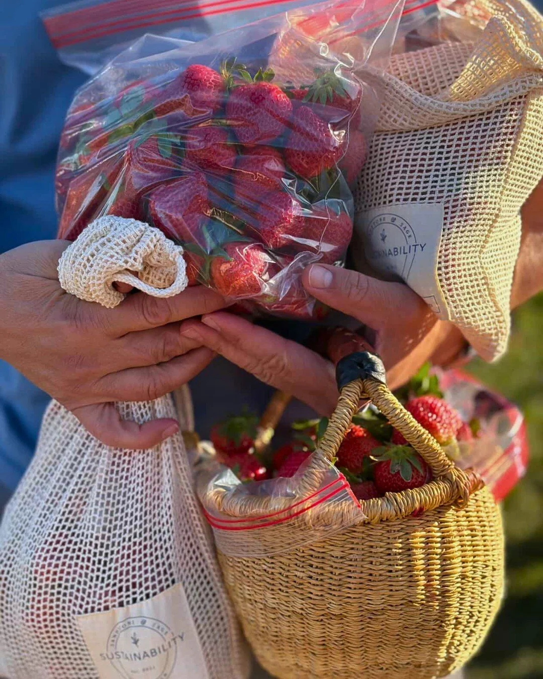 We went strawberry picking last weekend! 🍓 It was such a fun day, and I&rsquo;ve really missed this spring sunshine.

There&rsquo;s nothing quite like the taste of fresh-picked strawberries, and there&rsquo;s also nothing quite like the feeling of d