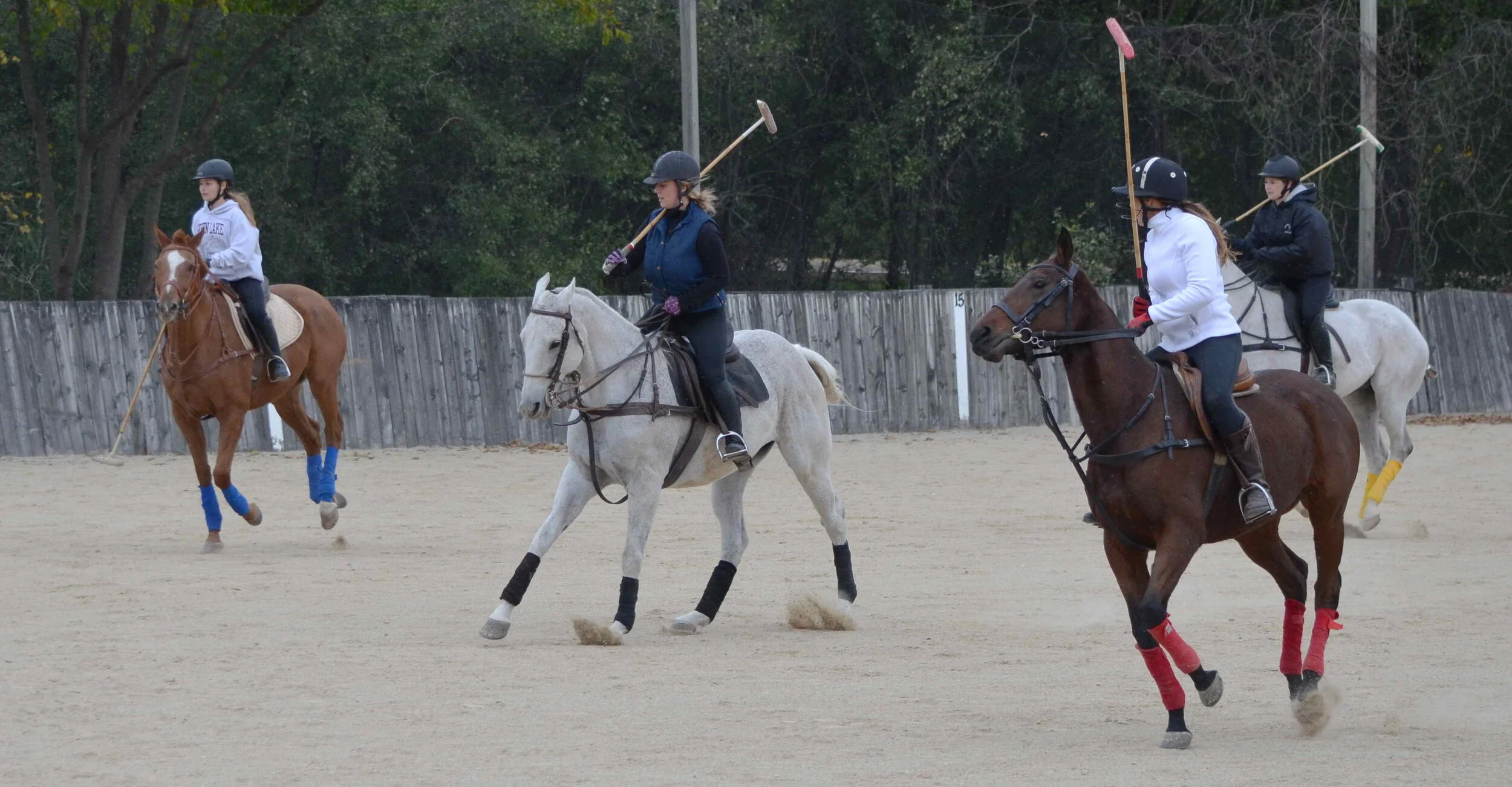 Polo School Oct-28.JPG