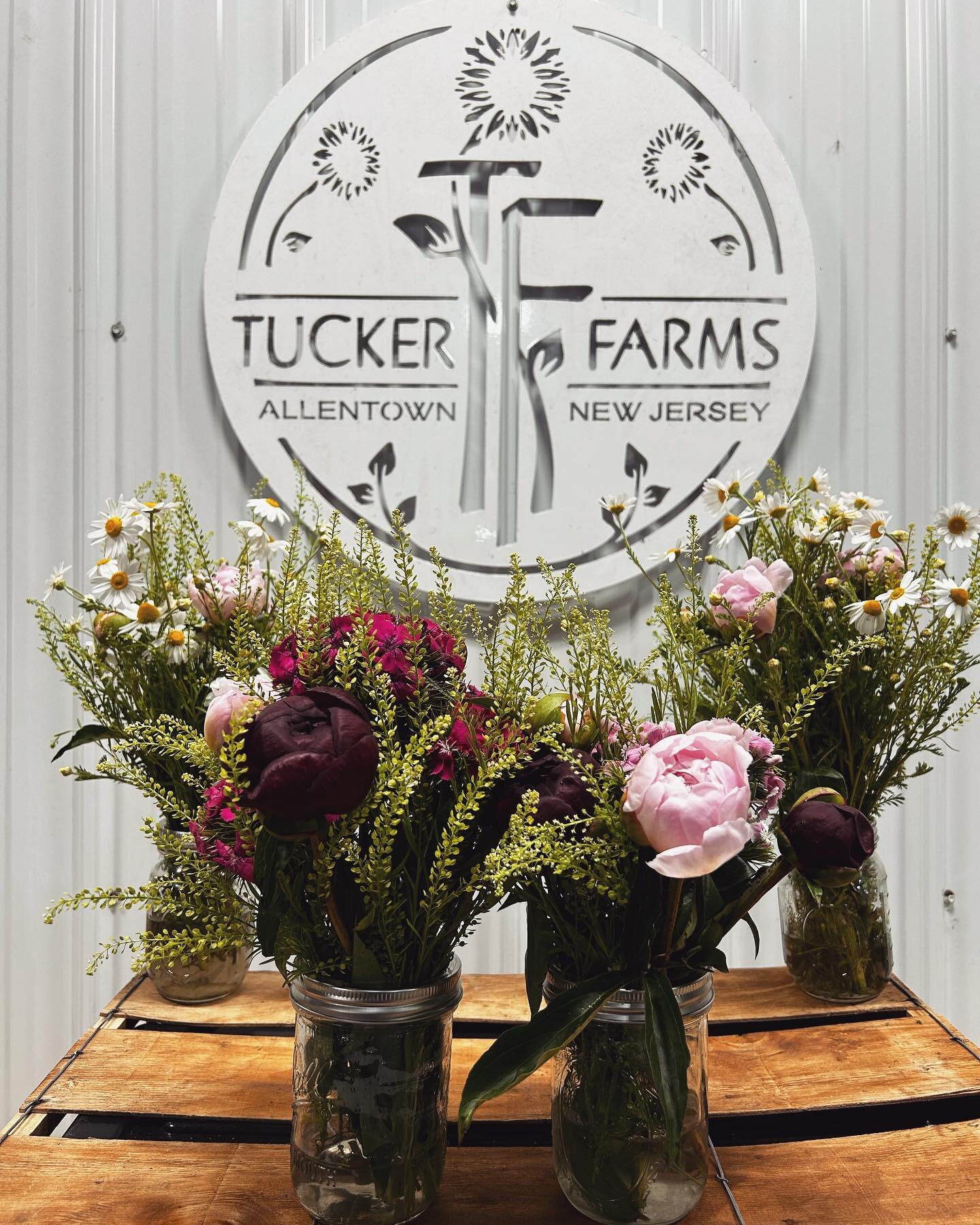 This Saturday we are back to your favorite New York Markets with all your favorite locally grown spring blooms. Peonies, Sweet William, Bouquets and 2 jars all offered! 
📍Tribecca Market
📍McCarren Market 
@grownyc @unsqgreenmarket @grownyc_manhatta