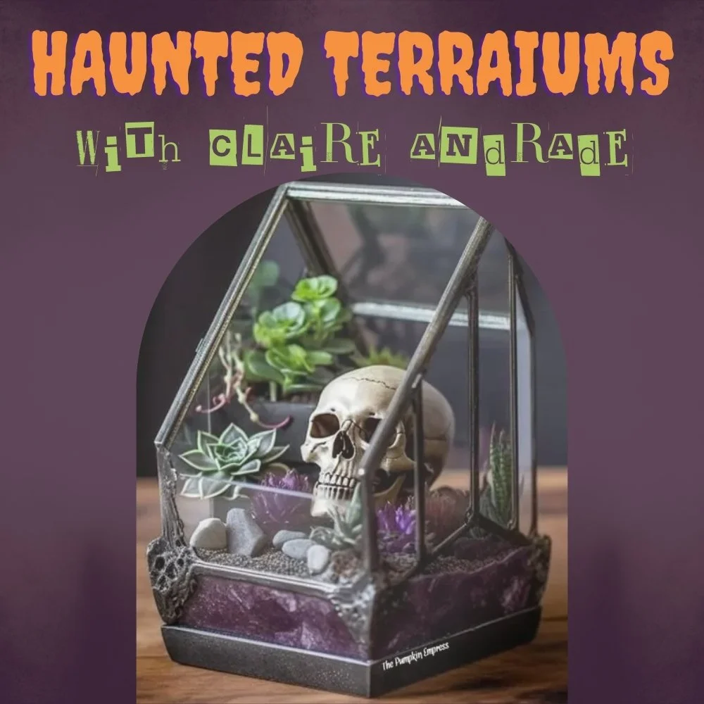 Haunted Terrariums