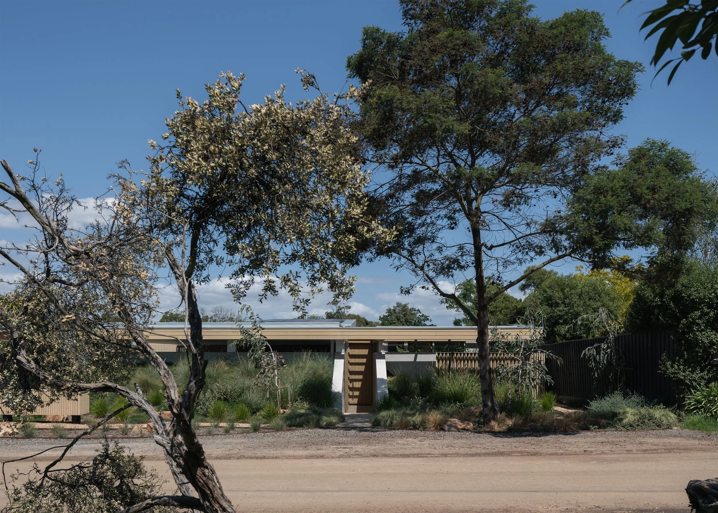 Channel set behind dense native planting, with its low horizontal roof extending across the Mornington site.